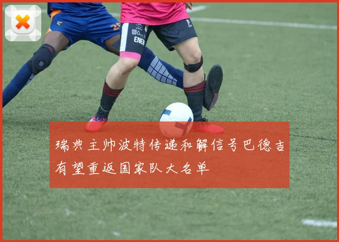 瑞典主帅波特传递和解信号巴德吉有望重返国家队大名单